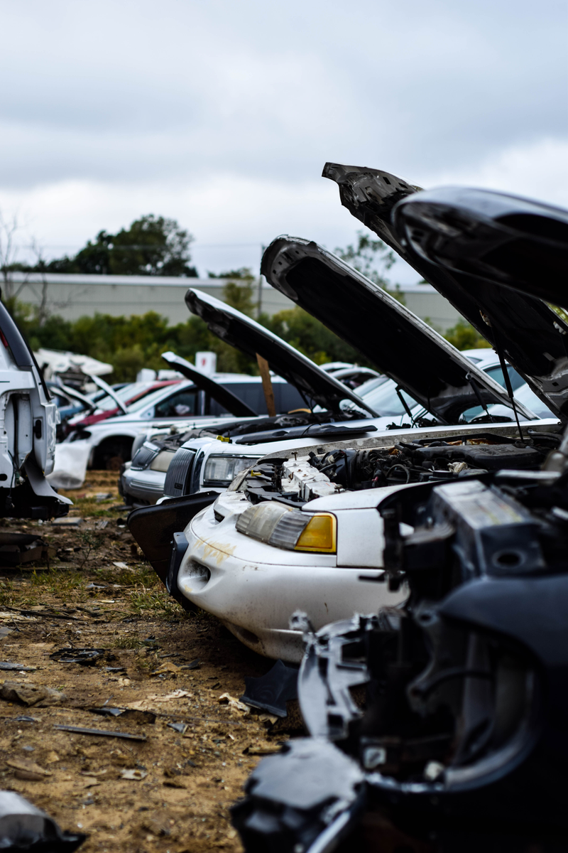 Illustration for article titled Salvage Yard